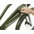 VTC électrique ELECTRA Townie Path Go! 10D Step Thru Olive 6 VTC électrique ELECTRA Townie Path Go! 10D Step Thru Olive – Image 4