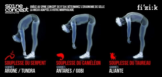 Selle Vélo Route Et VTT Fizik Arione Donna Manganèse Blanc Gris 5 Selle Vélo Route Et VTT Fizik Arione Donna Manganèse Blanc Gris – Image 3