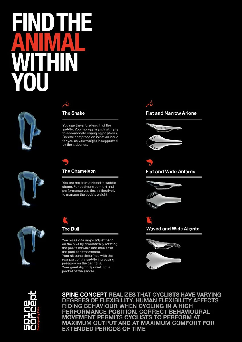 Selle Vélo Route Et VTT Fizik Aliante R3 Braided Blanc Gris Rouge 5 Selle Vélo Route Et VTT Fizik Aliante R3 Braided Blanc Gris Rouge – Image 3